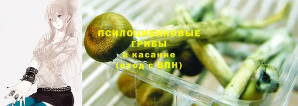 PSILOCYBIN Армянск