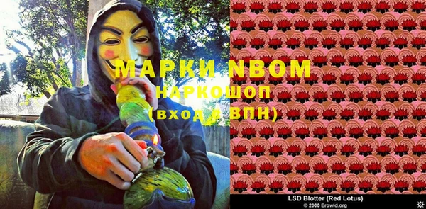PSILOCYBIN Армянск